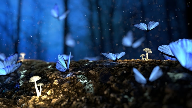Enchanted Garden Tutorials